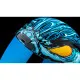 Icon Airform™ Manik'rr Mips® - Синя