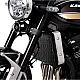 Протектор за радиатор R&G Pro Radiator Guard Kawasaki Z900 RS 2026