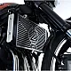 Протектор за радиатор R&G RACING Branded Radiator Guard Stainless Steel Kawasaki Z900 RS 18-20