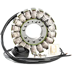 Arct oe style snow stator RICK'S MOTORSPORT ELECTRICS 24-009