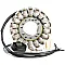 Arct oe style snow stator RICK'S MOTORSPORT ELECTRICS 24-009