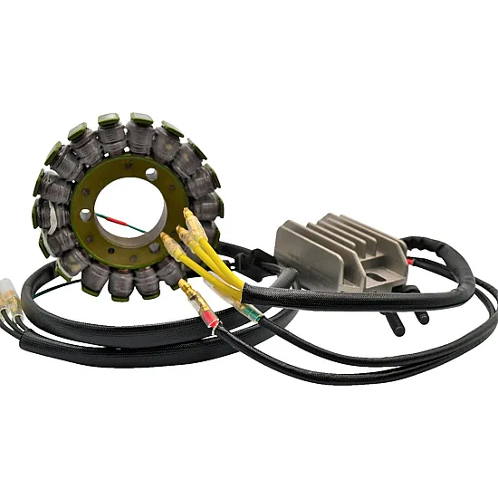 Комплект за зареждане H/S KAWASAKI RICK'S MOTORSPORT ELECTRICS 14-99-201H