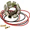 Статор OEM style RICK'S MOTORSPORT ELECTRICS 21-811