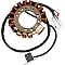 Статор OEM style RICK'S MOTORSPORT ELECTRICS 21-911
