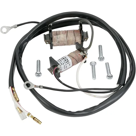 Комплект за възстановяване на статора RICK'S MOTORSPORT ELECTRICS 22-780