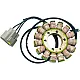 Статор BMW RICK'S MOTORSPORT ELECTRICS 21-038