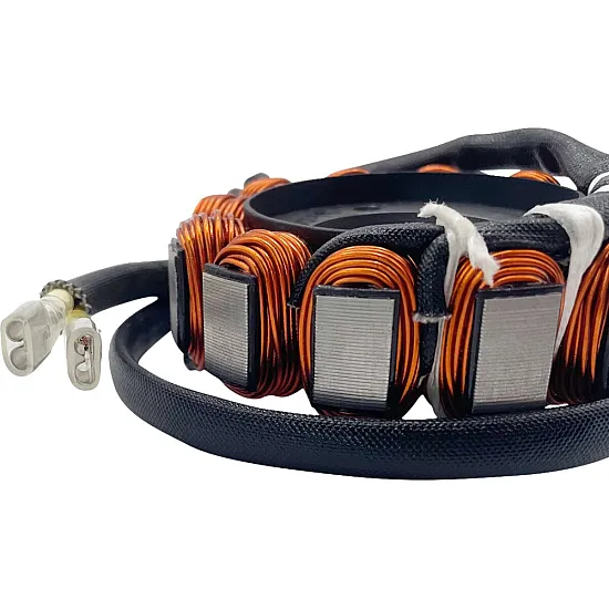 Статор HOT SHOT KTM RICK'S MOTORSPORT ELECTRICS 21-0091H