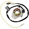 Статор HOT SHOT RICK'S MOTORSPORT ELECTRICS 21-603H