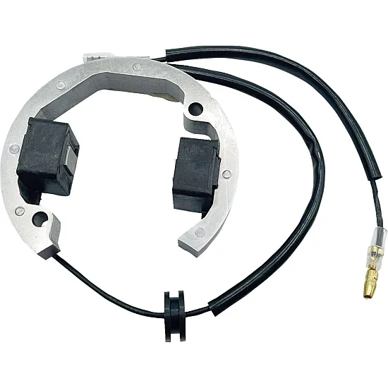 Статор KTM HUS 50 RICK'S MOTORSPORT ELECTRICS 21-0093