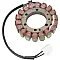 Статор OEM style RICK'S MOTORSPORT ELECTRICS 21-001