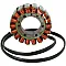 Статор OEM style RICK'S MOTORSPORT ELECTRICS 21-008