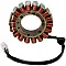 Статор OEM style RICK'S MOTORSPORT ELECTRICS 21-019