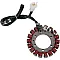 Статор OEM style RICK'S MOTORSPORT ELECTRICS 21-106