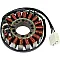 Статор OEM style RICK'S MOTORSPORT ELECTRICS 21-120