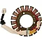 Статор OEM style RICK'S MOTORSPORT ELECTRICS 21-219