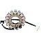 Статор OEM style RICK'S MOTORSPORT ELECTRICS 21-232