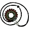 Статор OEM style RICK'S MOTORSPORT ELECTRICS 21-303