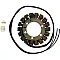 Статор OEM style RICK'S MOTORSPORT ELECTRICS 21-316
