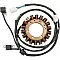 Статор OEM style RICK'S MOTORSPORT ELECTRICS 21-337