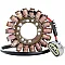 Статор OEM style RICK'S MOTORSPORT ELECTRICS 21-410