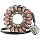 Статор OEM style RICK'S MOTORSPORT ELECTRICS 21-410