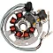 Статор OEM style RICK'S MOTORSPORT ELECTRICS 21-550