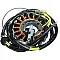Статор OEM style RICK'S MOTORSPORT ELECTRICS 21-560