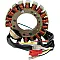 Статор OEM style RICK'S MOTORSPORT ELECTRICS 21-616H
