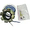 Статор OEM style RICK'S MOTORSPORT ELECTRICS 21-636