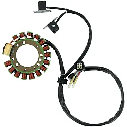 Статор OEM style RICK'S MOTORSPORT ELECTRICS 21-900