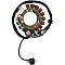 Статор OEM style RICK'S MOTORSPORT ELECTRICS 21-904