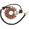 Статор OEM style RICK'S MOTORSPORT ELECTRICS 21-912