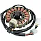 Статор OEM style RICK'S MOTORSPORT ELECTRICS 21-916