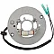 Статор OEM style RICK'S MOTORSPORT ELECTRICS 21-926