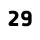 29 